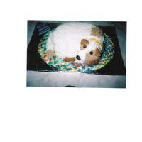 Puppy Buttecream icing with fondant braided rug and accents.
