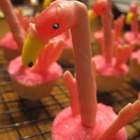 Flamingo Cupcakes Used What's New, Cupcake? as the inspiration.
