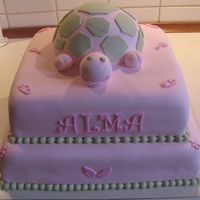 Turtle Cake This was made for my neighbours christening. The turtle was made with the wilton sportsball :-)