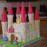 Maddies Cake Here is a picture of the imfamous late-late payment cake. My first castle cake done with alot of inspiration from the many different castle...