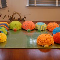 Birthday Caterpillar Cake Very time consuming but easy decorating. I used a small glass mixing bowl to bake the segments & various candies to decorate. I mostly...
