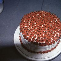 Pumpkin Thanksgiving This was my 3rd cake to make...I hadn't really practiced anything but stars at this point, but somehow I made them look like little...