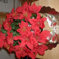 X-Mas_Treat_And_Hsm_On_Ice_S.jpg I got this idea on CC... I know it is not as good as the others on here but it was fun trying. I would appreciate any comments. Thanks!