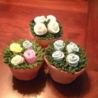Flower Pot Flower pot covered in fondant, duff roses and buttercream leaves. Made for a ladies meeting.