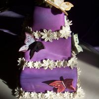 Butterfly Birthday Cake This mini-tiered cake is covered with white fondant, then airbrushed purple. We also airbrushed a mix of lemon extract and luster dust over...