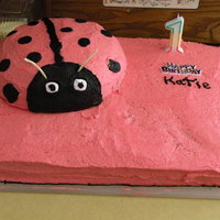 Pink Ladybug white chocolate cake with raspberry buttercream frosting. Made for my neices first birthday. Had a few mishaps but I was pretty happy with...
