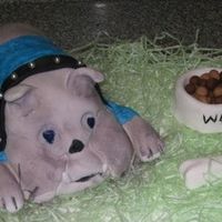 School Mascot my first 3 d cake!
