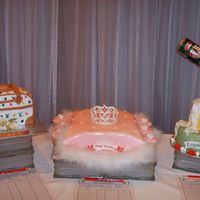 Display Cakes this is my donation for a charity auction tonite.