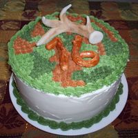 Deer Hunter For my nephew's b-day; Choc. cake with camo design, gumpaste antler and #16