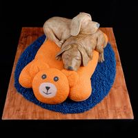 My Buddy My entry in the OSSAS. It made 3rd in the adult advanced novelty category. Puppies and bed are Madeira cake covered in fondant. The rug is...