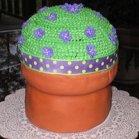 Flower Pot Cake This was my moms birthday cake. It is chocolate cake with chocolate whipped cream filling with raspberry buttercream icing. Its my first...