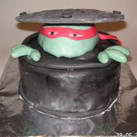 Turtles My husband wanted turtles cake for his birthday ;) Got this idea from CC. Marshmallow fondant.