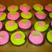 Chocolate Cupcakes ...these were made to match the cake I made for the first birthday.