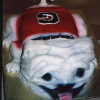 Georgia Bull Dog 