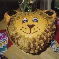 Lion Birthday Cake This was made for my sons first birthday (and my first attempt at cake decorating). Chocolate cake with buttercream frosting!