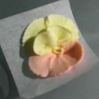 Pansy Pansy made for my Wilton II Class.