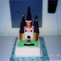 Castle Cake This is a cake I made for a wedding shower. The couple went to Disney World on their honeymoon. I tried to mimic the Cinderella Castle. One...