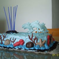 Acapulco I made this cake to my brother in law today, it was in honour of my lovely Acapulco. All the sea decorations are chocolate.