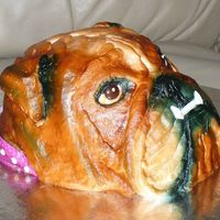 English Bulldog 3 layers of yellow cake carved to shape and covered in buttercream. the teeth are gumpaste, the collar is fondant and the color was done...