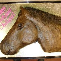 Horse2 I had alot of questions about how I got the shape and muscle tone. If your planning to make a cake like this look at the photo and draw it...