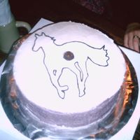 Cd Cake This is a chocolate cake frosted in BC. The decoration is from the cover of his favorite CD, I drew the pony freehand in Wilton black icing...