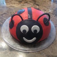 Mini Ladybug Cake For my daughter's 2nd birthday dinner. My kids loved it!