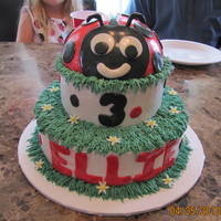3Rd Birthday Ladybug Cake 