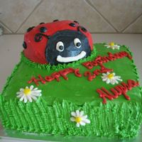 Ladybug Cake All Buttercream. 10" square and pampered chef batter bowl.