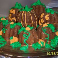 Pumpkin Patch