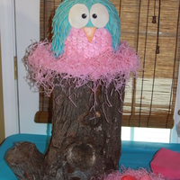 Look Whoo Whoo's 2 ! What a hoot =)