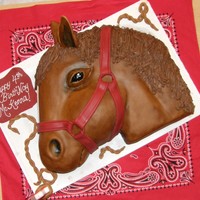 Kenna's Horse Inspired by Bayamoy's awesome cake! Carved from sheet cake...this was a fun cake to make after such a long break from "Cakin'...