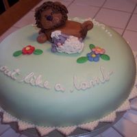 Lion & Lamb Wanted to make a cake to take to dinner with family in early March. Did during a winter storm, so I had plenty of time to try new...