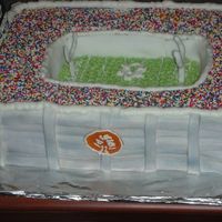 Auburn Stadium Birthday Cake Auburn football stadium for a young boy turning 9. Covered in both fondant and buttercream.