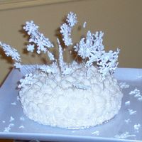 Snowstorm this is a chocolate cake with BC frosting and royal icing snowflakes on wires and lots of glitter