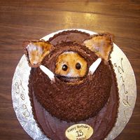 Hog Wild This was for a client's son who loved hog hunting. It was chocolate butter cake with chocolate buttercream & MMF. It was kind of...
