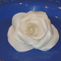 Rose I've only made about a handful of these and this is the one I'm most satisfied with. Used Bakels-long dry time. Please give any...