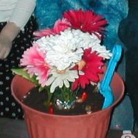 Flower Dirt Cake This was the eaisest cake and got tons of compliments. It is regular dirt cake recipe put in a plastic flower pot lined with plastic wrap...