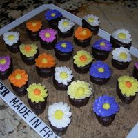 Brownie Daisy Bites Little bite sized brownies done as promo for a friend's office.