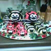 Lady Bugs And Bummble Bees's 1 large lady bug and 1 large bummble bee with mini individual ones