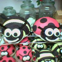 Lady Bugs And Bummble Bees's 2 1 large lady bug and 1 large bummble bee with mini individual ones