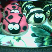 Lady Bugs And Bummble Bees's 3 1 large lady bug and 1 large bummble bee with mini individual ones