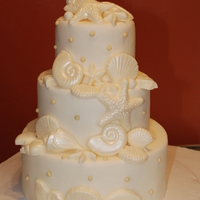 White Chocolate Seeshells 
