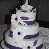 Purple & White 