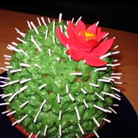 Cactus Cake Small birthday cake for my friend