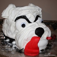 Bull Dog Birthday Cake GA Bull dog character cake; carrot cake frosted with cream cheese and covered in marshmallow fondant