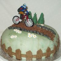 Mountain Bike This is a cake for my husband who loves his mountain bike. It is a 8 inch madeira covered in orange bc with mmf on top. I normally use shop...