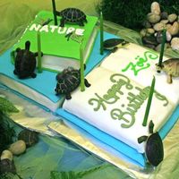Nature Museum Birthday Cake A client I did a birthday party for had a love of books and wanted to incorporate turtles. This is what I came up with. (The turtles are...