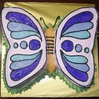 First Time Butterfly 10 inch round buttercake, cut up to form butterfly shape. wings decorated with non-dairy whipped topping & piping jelly. the butterfly...