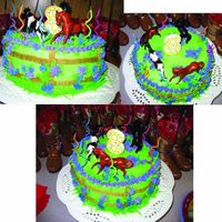 Horse Cake This cake was for my daughter's 8th birthday party. Horse theme. White cake, buttercream frosting and plastic horse. Take home gifts...