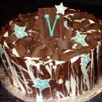 V Cake This was my first time messing with chocolate like this. It was a lot of fun and, thanks to CC, way easier than I thought it would be......